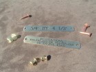 Longer Large Engraved  Dog Collar Nameplate