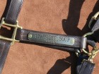 Engraved Halter Nameplate Longer Horse Size